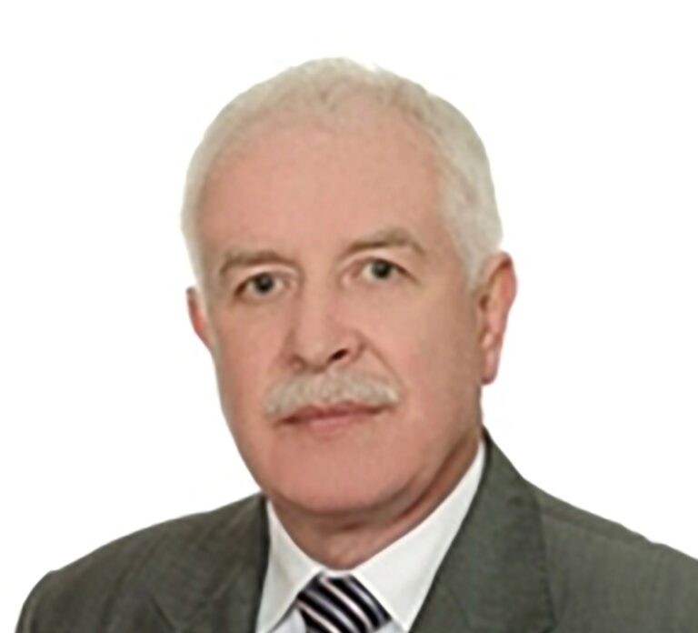 PROF. DR HAB. INŻ. ADAM STOLARSKI