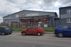 Mrowka_Opole Lubelskie_20160422_100547