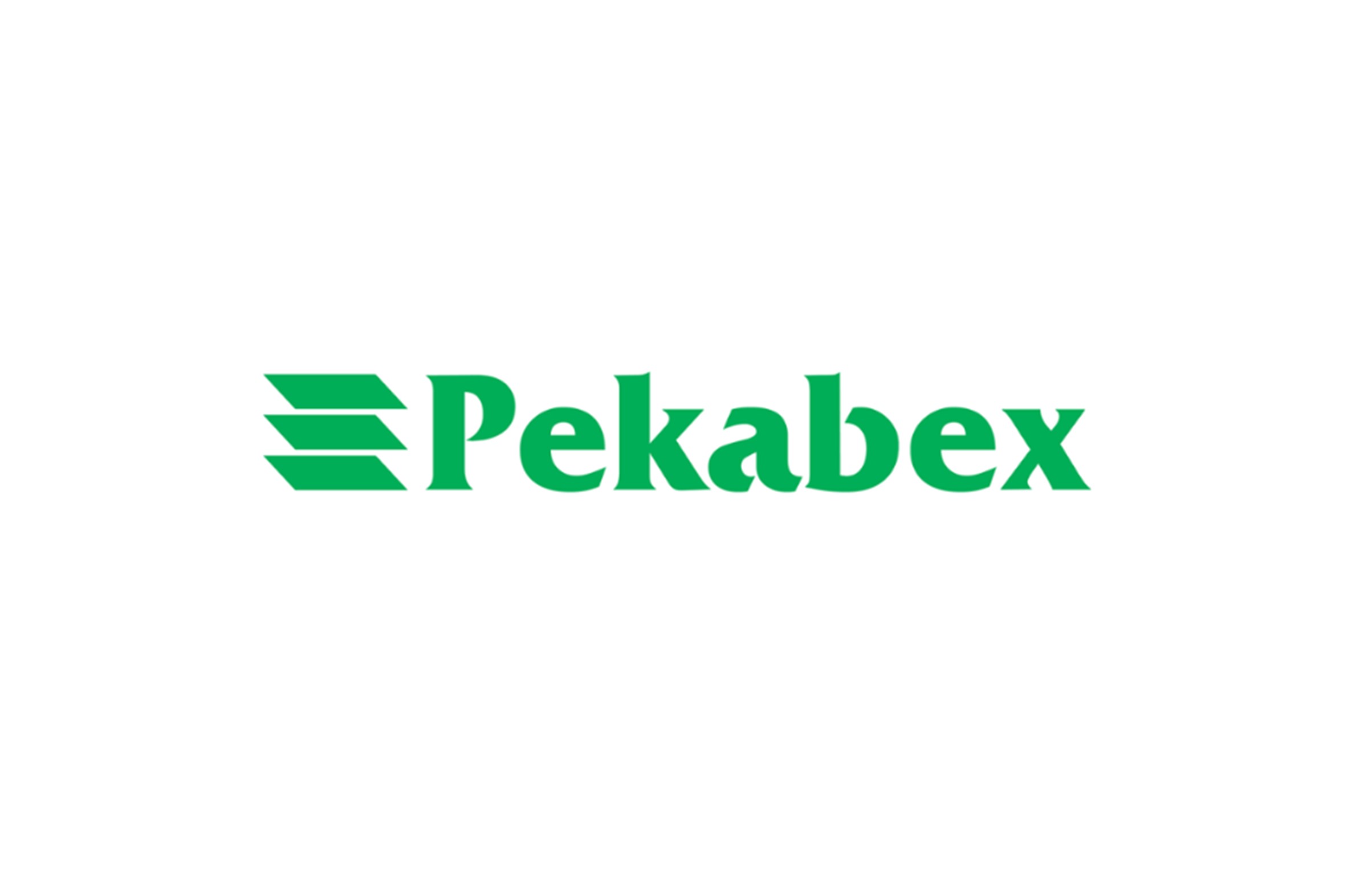 PEKABEX S.A.- WYNIKI FINANSOWE ZA 2017 ROK