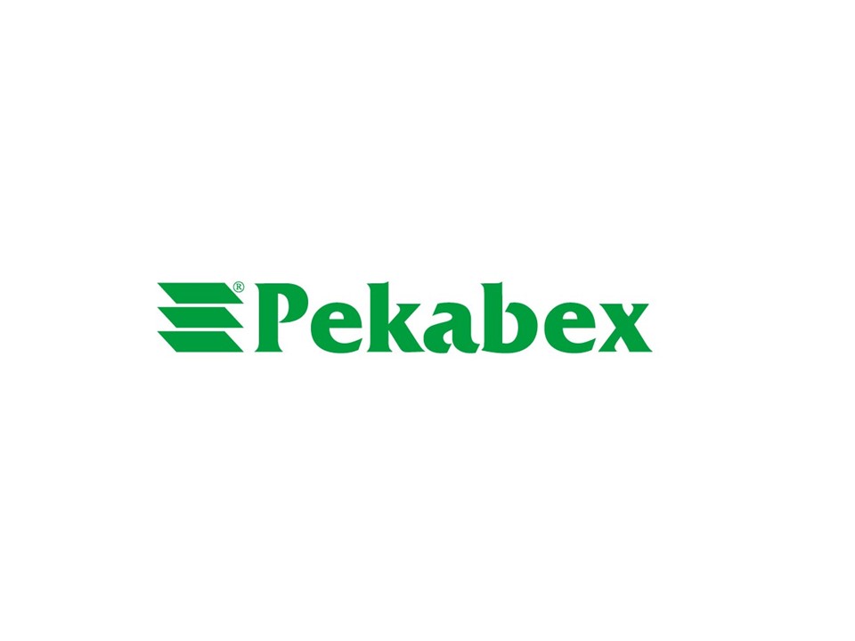 PEKABEX – BUDOWLANA FIRMA ROKU 2016