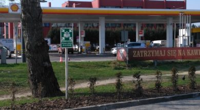 zdjęcie do artkułu