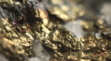 Golden background, rather unique macro photo