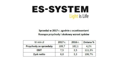 es-syst_raport