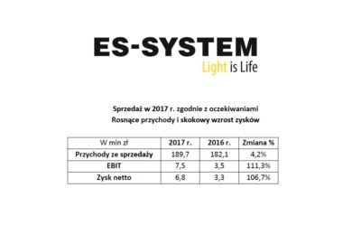 es-syst_raport