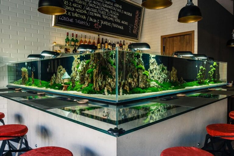 RESTAURACJA XXI WIEKU CZYLI TECHNOLOGIA U DRZWI