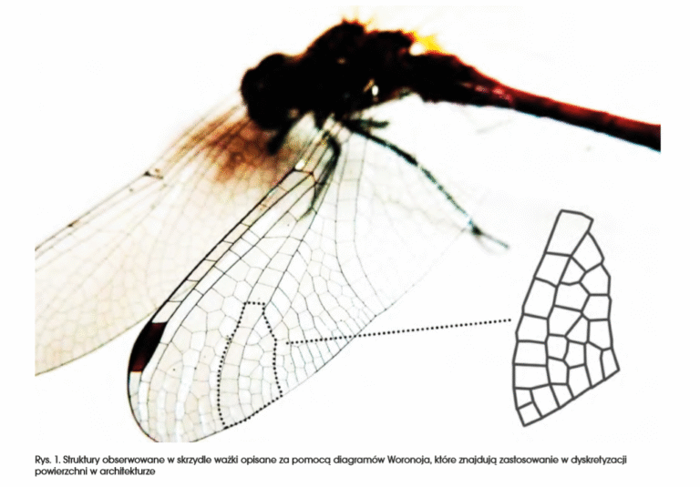 MODELOWANIE BIONICZNE – PAWILONY BIONICZNE