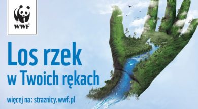 Los rzek w Twoich rękach_Grafika