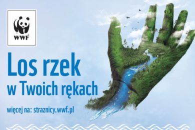 Los rzek w Twoich rękach_Grafika