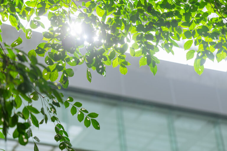 ENERGOOSZCZĘDNA OBUDOWA BUDYNKU