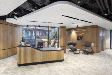01 EY Wroclaw proj -Massive Design fot Szymon Polanski-9810