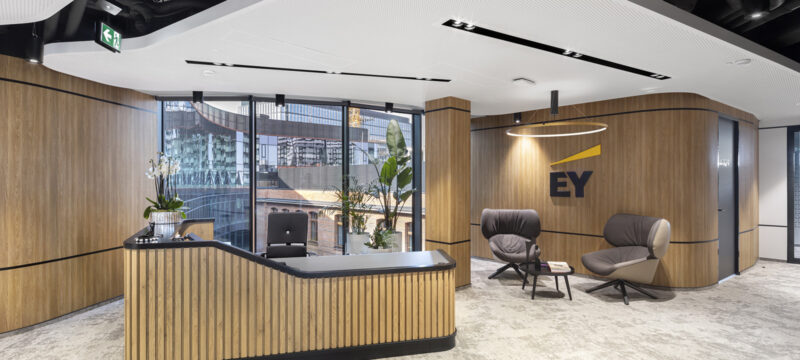01 EY Wroclaw proj -Massive Design fot Szymon Polanski-9810