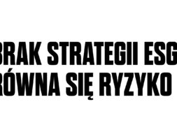 brak strategii