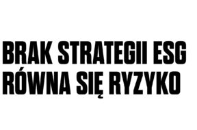 brak strategii