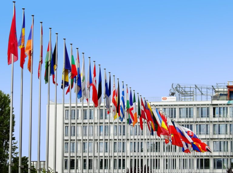 CZAS INTENSYWNEJ PROFESJONALIZACJI I EUROPEIZACJI