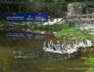 Dekpol Budownictwo_remont wybiegu pingwinów w Gdańskim ZOO (4)