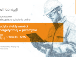 MULTICONSULT_szkolenie_1200x628