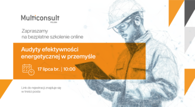 MULTICONSULT_szkolenie_1200x628